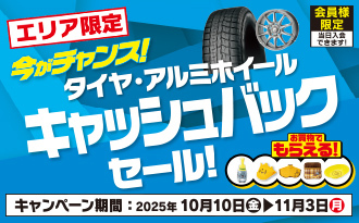 東北北陸長野限定タイヤCB