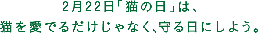 2月22日「猫の日」は、猫を愛でるだけじゃなく、守る日にしよう。