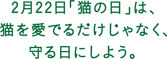 2月22日「猫の日」は、猫を愛でるだけじゃなく、守る日にしよう。