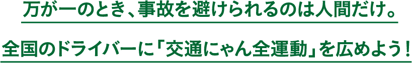 万が一のとき、事故を避けられるのは人間だけ。全国のドライバーに「交通にゃん全運動」を広めよう!