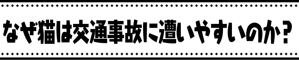 なぜ猫は交通事故に遭いやすいのか?