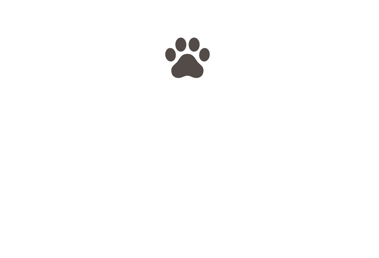 猫認証 こちらは猫パンチで募金のサイトです。あなたは、猫ですが？人間ですか？