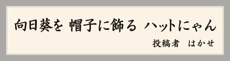 はかせ