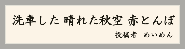 ハットにゃん賞