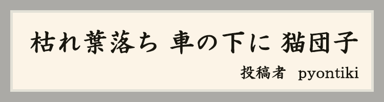 ハットにゃん賞