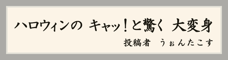 ハットにゃん賞