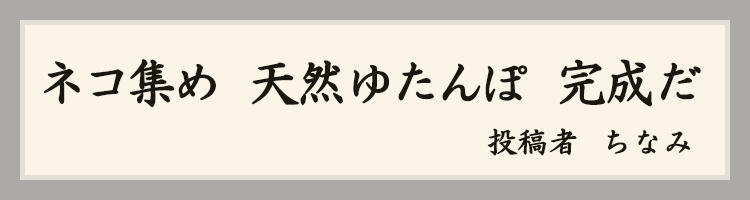 ハットにゃん賞