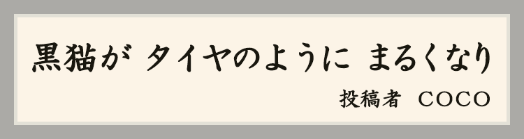 ハットにゃん賞