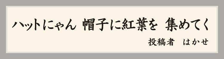 ハットにゃん賞