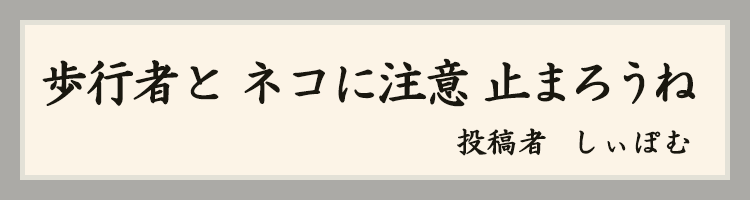 ハットにゃん賞