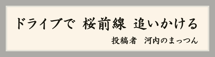 ハットにゃん賞