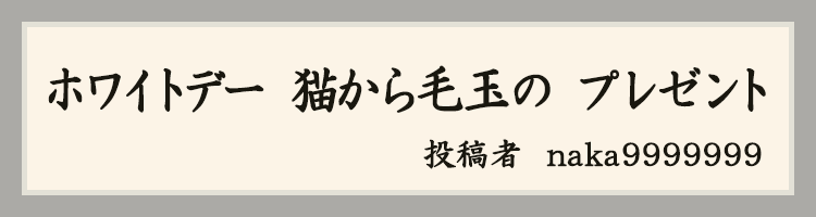 ハットにゃん賞