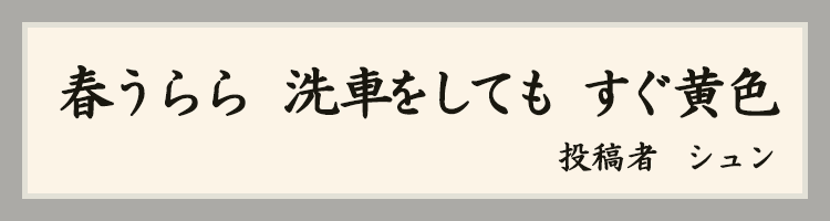 ハットにゃん賞