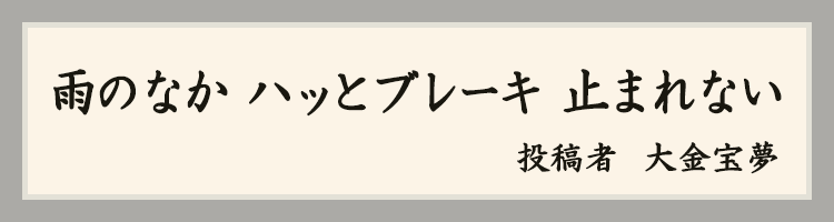 ハットにゃん賞