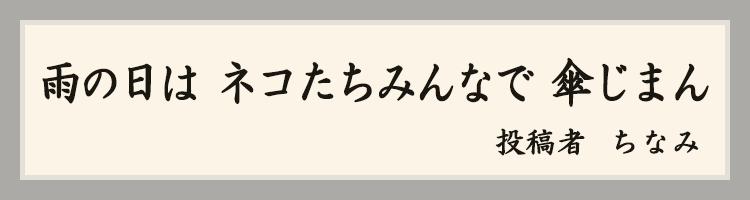 ハットにゃん賞