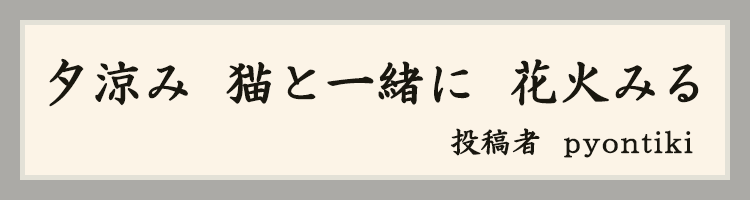 ハットにゃん賞