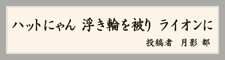 ハットにゃん賞