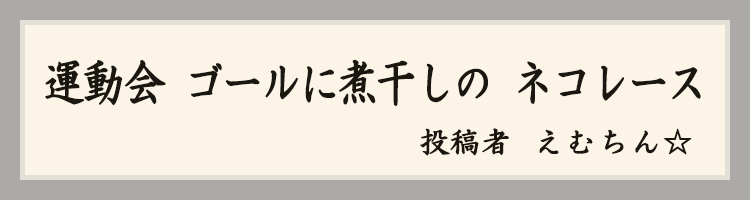 ハットにゃん賞