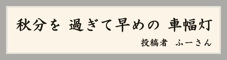 ハットにゃん賞