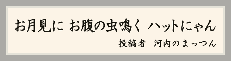 ハットにゃん賞