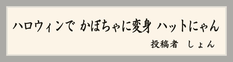 ハットにゃん賞