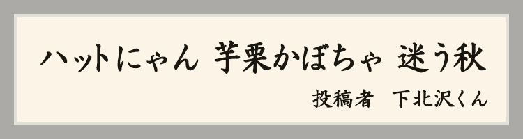 ハットにゃん賞