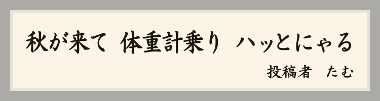 ハットにゃん賞