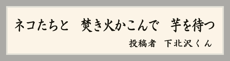ハットにゃん賞