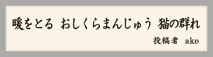 ハットにゃん賞