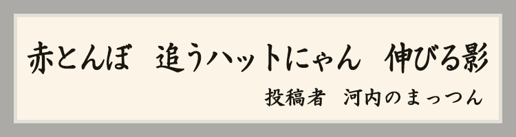 ハットにゃん賞