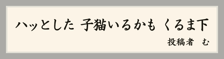 ハットにゃん賞