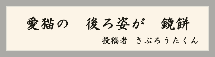 ハットにゃん賞
