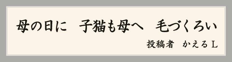 ハットにゃん賞