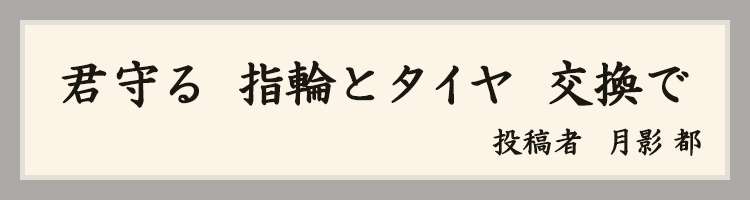 ハットにゃん賞