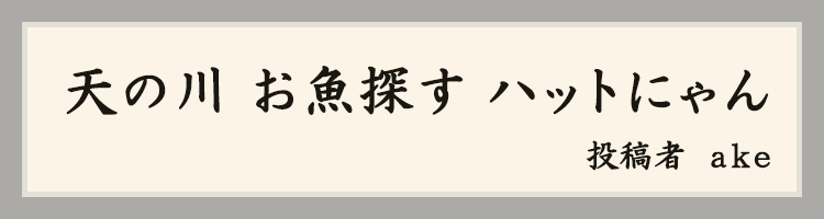 ハットにゃん賞