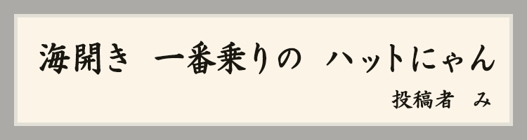 ハットにゃん賞
