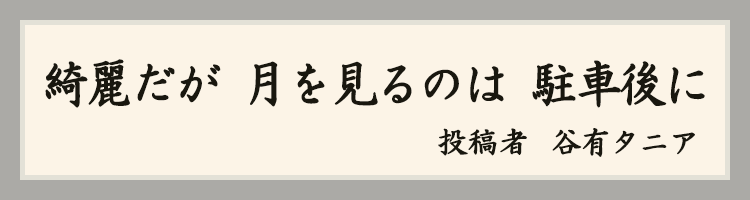 ハットにゃん賞