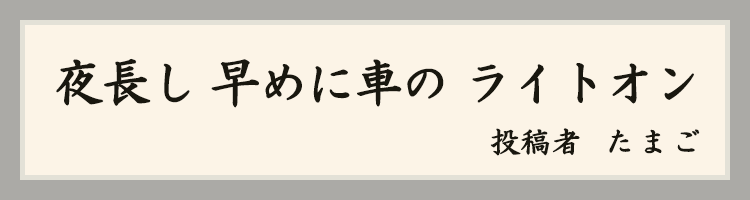 ハットにゃん賞