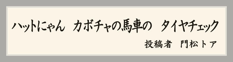 ハットにゃん賞