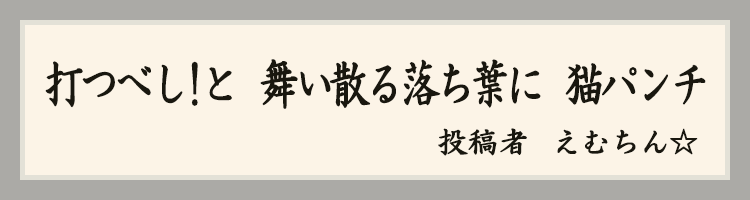 ハットにゃん賞