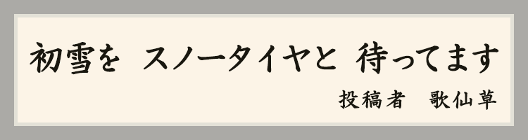 ハットにゃん賞