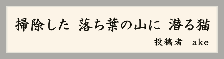 ハットにゃん賞
