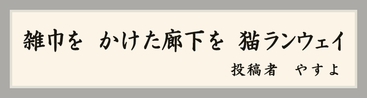 ハットにゃん賞
