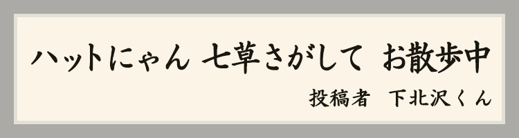 ハットにゃん賞