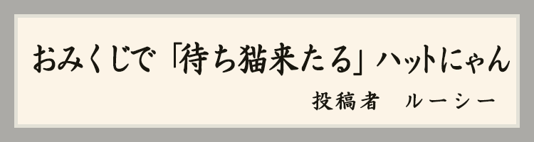 ハットにゃん賞