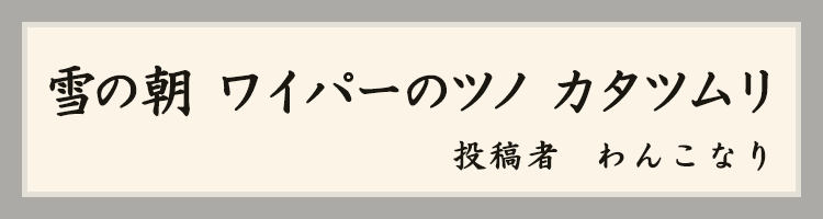 ハットにゃん賞