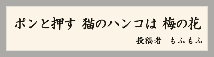 ハットにゃん賞