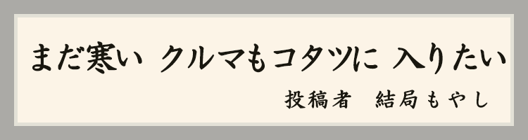 ハットにゃん賞