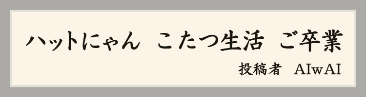 ハットにゃん賞