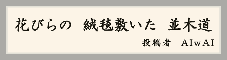 ハットにゃん賞